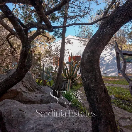 Sandalia - 10m To The * San Teodoro (Sardinia)