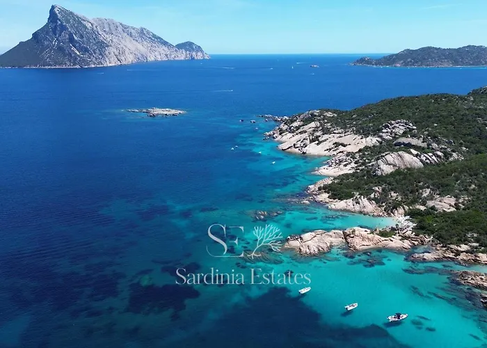 Sandalia - 10m To The *