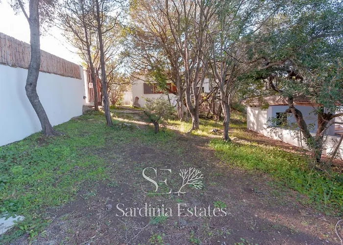 Villa Sandalia - 10m To The San Teodoro
